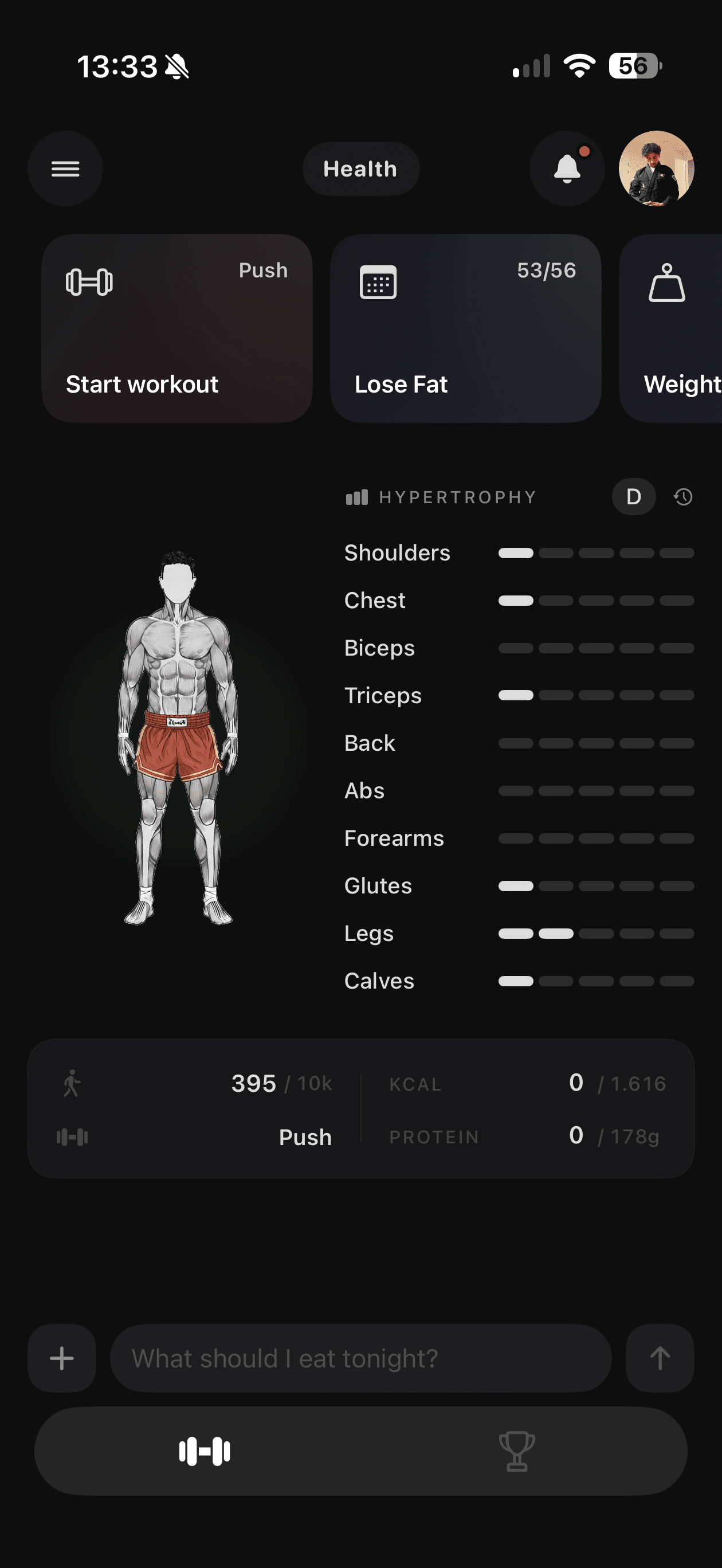 Het health-scherm van Carve: het spierfiguur met een voortgangsbalk per spiergroep ernaast.